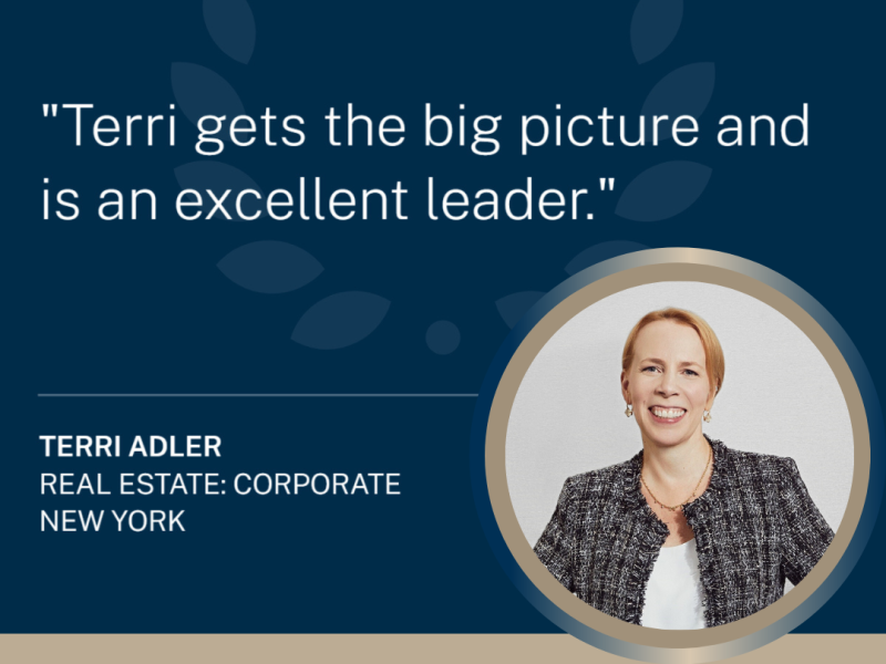 Graphic from the 2025 Chambers and Partners USA Guide featuring Terri Adler with their quote: Terri gets the big picture and is an excellent leader